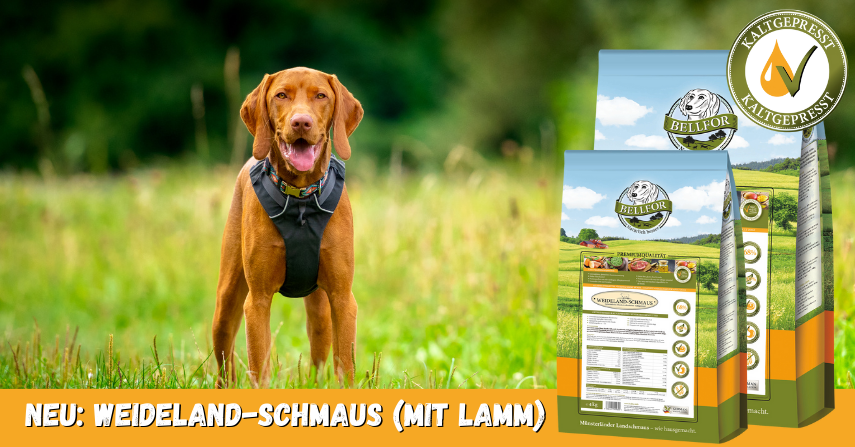 Weideland-Schmaus Weideland-Schmaus